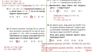 10. Sınıf Meb Yayınları Matematik Ders Kitabı Sayfa 229 Cevapları