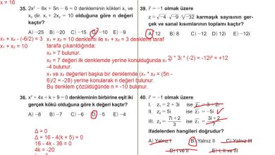 10. Sınıf Meb Yayınları Matematik Ders Kitabı Sayfa 230 Cevapları