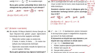 10. Sınıf Meb Yayınları Matematik Ders Kitabı Sayfa 231 Cevapları