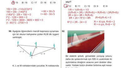 10. Sınıf Meb Yayınları Matematik Ders Kitabı Sayfa 232 Cevapları