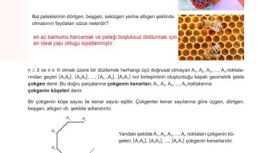 10. Sınıf Meb Yayınları Matematik Ders Kitabı Sayfa 235 Cevapları