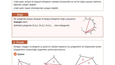 10. Sınıf Meb Yayınları Matematik Ders Kitabı Sayfa 236 Cevapları