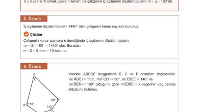 10. Sınıf Meb Yayınları Matematik Ders Kitabı Sayfa 237 Cevapları