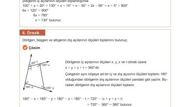 10. Sınıf Meb Yayınları Matematik Ders Kitabı Sayfa 238 Cevapları