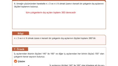 10. Sınıf Meb Yayınları Matematik Ders Kitabı Sayfa 239 Cevapları