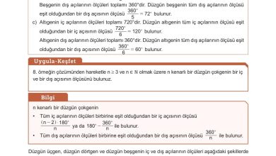 10. Sınıf Meb Yayınları Matematik Ders Kitabı Sayfa 240 Cevapları