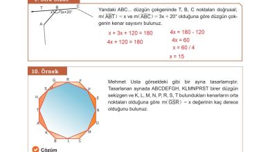 10. Sınıf Meb Yayınları Matematik Ders Kitabı Sayfa 241 Cevapları