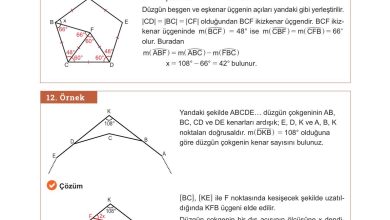 10. Sınıf Meb Yayınları Matematik Ders Kitabı Sayfa 242 Cevapları