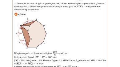 10. Sınıf Meb Yayınları Matematik Ders Kitabı Sayfa 243 Cevapları