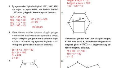 10. Sınıf Meb Yayınları Matematik Ders Kitabı Sayfa 244 Cevapları