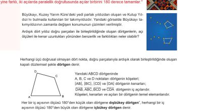 10. Sınıf Meb Yayınları Matematik Ders Kitabı Sayfa 245 Cevapları