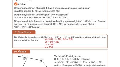 10. Sınıf Meb Yayınları Matematik Ders Kitabı Sayfa 246 Cevapları