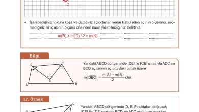 10. Sınıf Meb Yayınları Matematik Ders Kitabı Sayfa 247 Cevapları