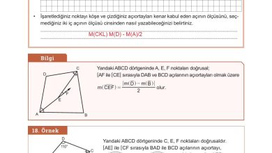 10. Sınıf Meb Yayınları Matematik Ders Kitabı Sayfa 248 Cevapları