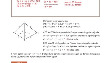 10. Sınıf Meb Yayınları Matematik Ders Kitabı Sayfa 249 Cevapları