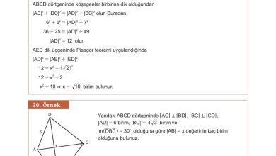 10. Sınıf Meb Yayınları Matematik Ders Kitabı Sayfa 250 Cevapları