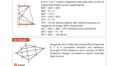 10. Sınıf Meb Yayınları Matematik Ders Kitabı Sayfa 251 Cevapları