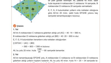 10. Sınıf Meb Yayınları Matematik Ders Kitabı Sayfa 252 Cevapları