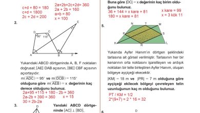 10. Sınıf Meb Yayınları Matematik Ders Kitabı Sayfa 253 Cevapları