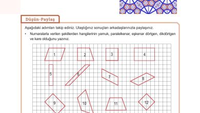 10. Sınıf Meb Yayınları Matematik Ders Kitabı Sayfa 254 Cevapları