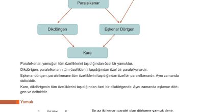 10. Sınıf Meb Yayınları Matematik Ders Kitabı Sayfa 255 Cevapları