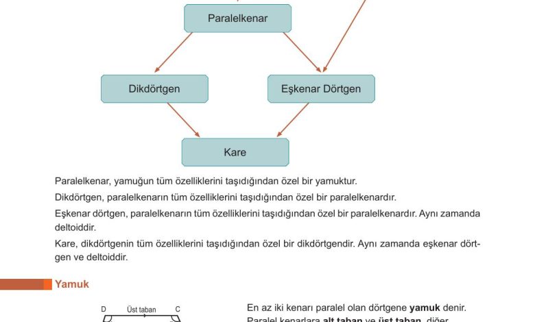 10. Sınıf Meb Yayınları Matematik Ders Kitabı Sayfa 255 Cevapları