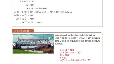 10. Sınıf Meb Yayınları Matematik Ders Kitabı Sayfa 256 Cevapları