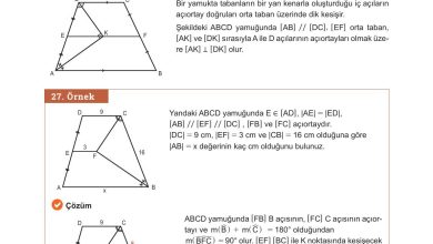 10. Sınıf Meb Yayınları Matematik Ders Kitabı Sayfa 259 Cevapları