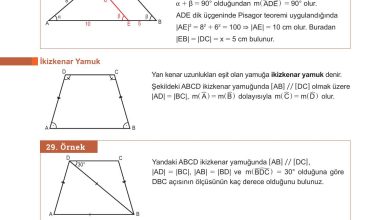 10. Sınıf Meb Yayınları Matematik Ders Kitabı Sayfa 260 Cevapları