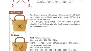 10. Sınıf Meb Yayınları Matematik Ders Kitabı Sayfa 261 Cevapları