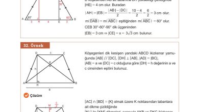 10. Sınıf Meb Yayınları Matematik Ders Kitabı Sayfa 262 Cevapları