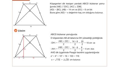 10. Sınıf Meb Yayınları Matematik Ders Kitabı Sayfa 263 Cevapları