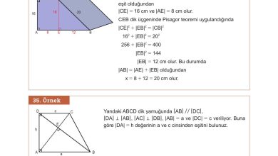 10. Sınıf Meb Yayınları Matematik Ders Kitabı Sayfa 264 Cevapları