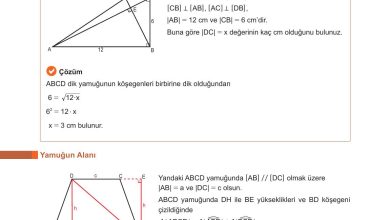 10. Sınıf Meb Yayınları Matematik Ders Kitabı Sayfa 265 Cevapları