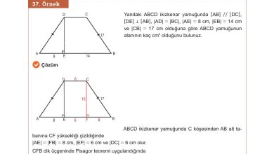 10. Sınıf Meb Yayınları Matematik Ders Kitabı Sayfa 266 Cevapları