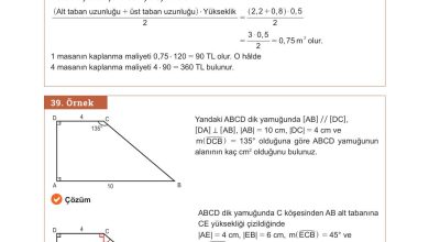 10. Sınıf Meb Yayınları Matematik Ders Kitabı Sayfa 267 Cevapları