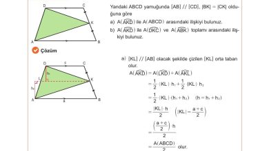 10. Sınıf Meb Yayınları Matematik Ders Kitabı Sayfa 268 Cevapları