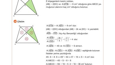 10. Sınıf Meb Yayınları Matematik Ders Kitabı Sayfa 270 Cevapları