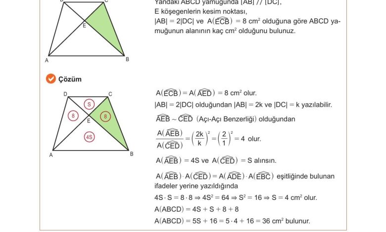 10. Sınıf Meb Yayınları Matematik Ders Kitabı Sayfa 270 Cevapları