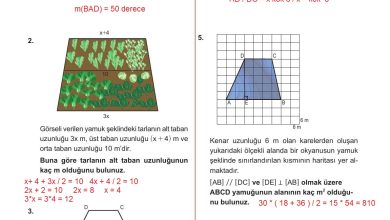 10. Sınıf Meb Yayınları Matematik Ders Kitabı Sayfa 271 Cevapları