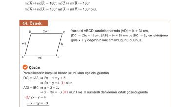 10. Sınıf Meb Yayınları Matematik Ders Kitabı Sayfa 272 Cevapları