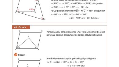 10. Sınıf Meb Yayınları Matematik Ders Kitabı Sayfa 273 Cevapları