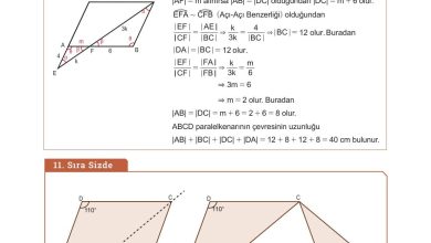 10. Sınıf Meb Yayınları Matematik Ders Kitabı Sayfa 276 Cevapları