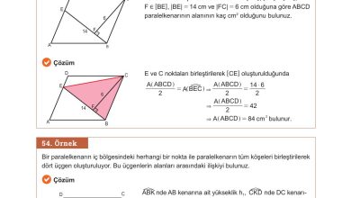 10. Sınıf Meb Yayınları Matematik Ders Kitabı Sayfa 278 Cevapları