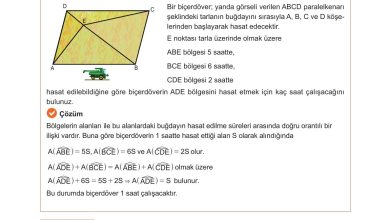 10. Sınıf Meb Yayınları Matematik Ders Kitabı Sayfa 279 Cevapları