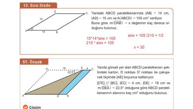 10. Sınıf Meb Yayınları Matematik Ders Kitabı Sayfa 280 Cevapları