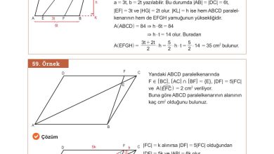 10. Sınıf Meb Yayınları Matematik Ders Kitabı Sayfa 281 Cevapları