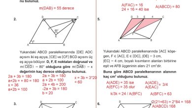 10. Sınıf Meb Yayınları Matematik Ders Kitabı Sayfa 282 Cevapları