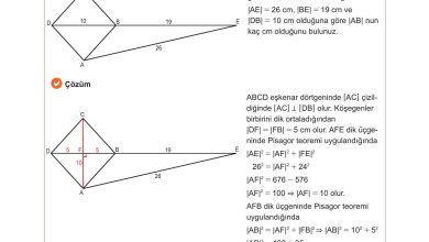 10. Sınıf Meb Yayınları Matematik Ders Kitabı Sayfa 284 Cevapları