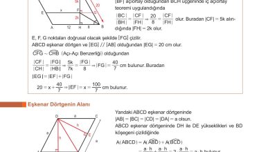 10. Sınıf Meb Yayınları Matematik Ders Kitabı Sayfa 285 Cevapları